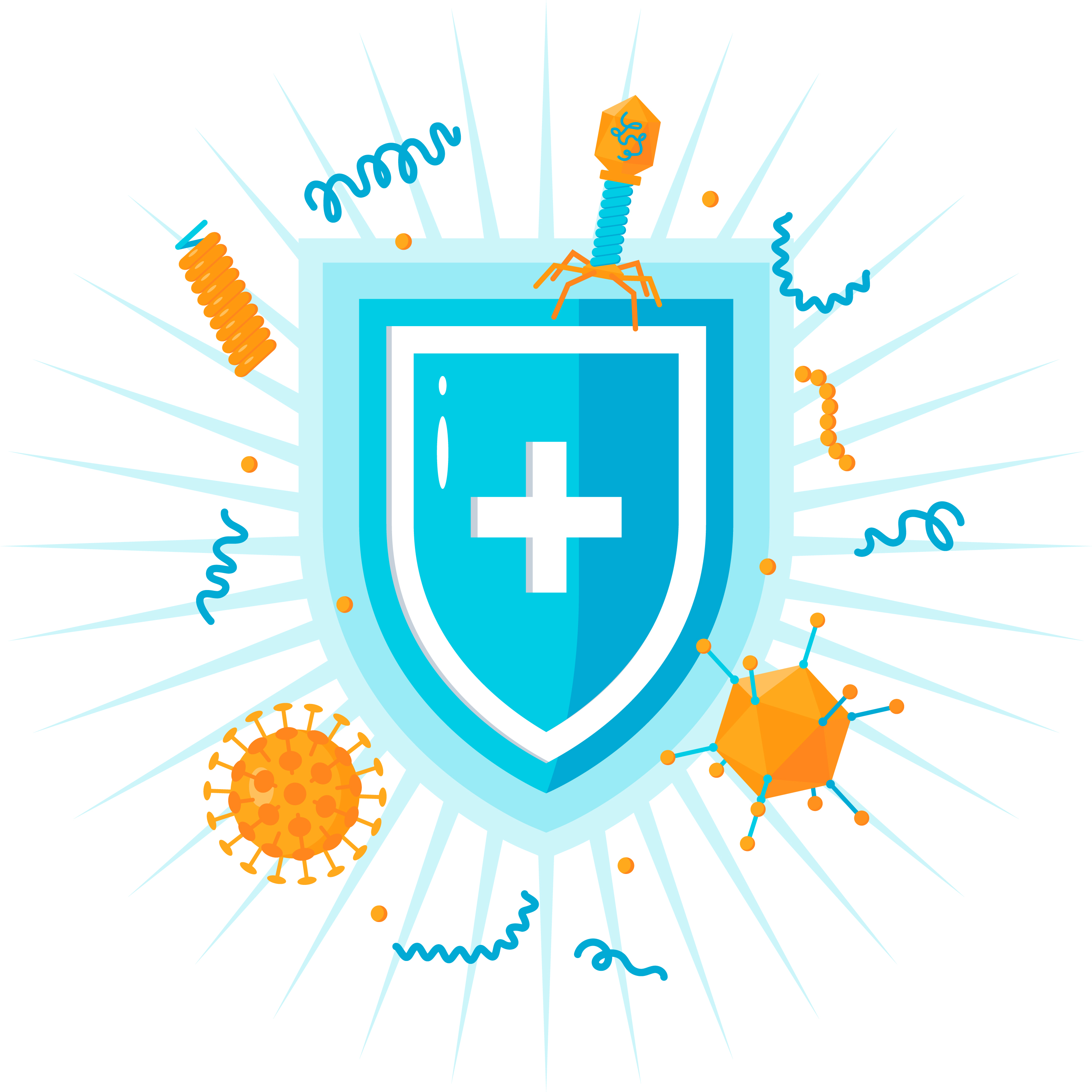 Immune System Support